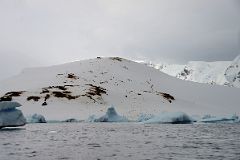 09B Penguin Colonies And Tourists On Danco Island From Zodiac On Quark Expeditions Antarctica Cruise.jpg